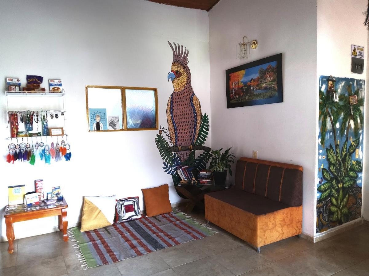 Appartement Artesanos Y Turistas à Guatapé Extérieur photo